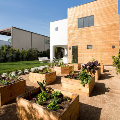 Inspiration for a large contemporary full sun backyard gravel landscaping in Los Angeles.