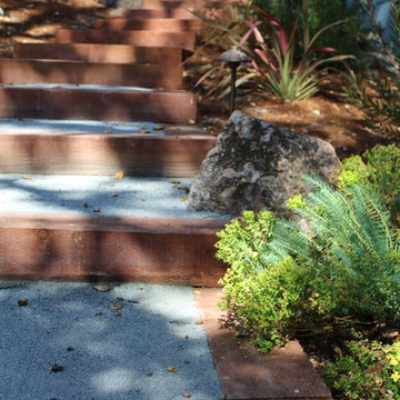 Aptos Hills Deer and Drought Resistant