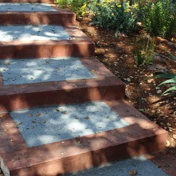 Aptos Hills Deer and Drought Resistant