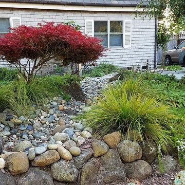 Aptos Shade Garden