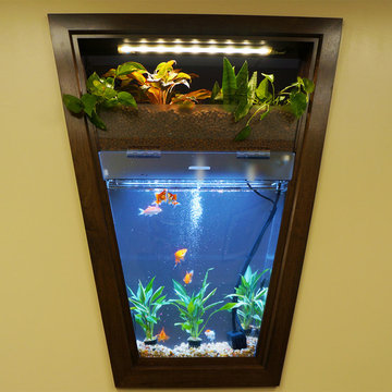 Aquarium Wall Divider in Cranford, New Jersey