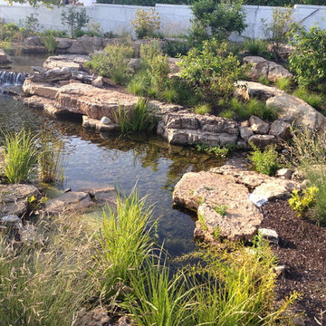 Aquascape Ecosystem Waterfall Pond Installation, Shedd Aquarium