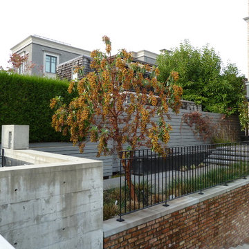 Arbutus menziesii