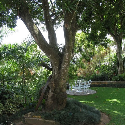 Inspiration for a tropical shade backyard landscaping in Miami.
