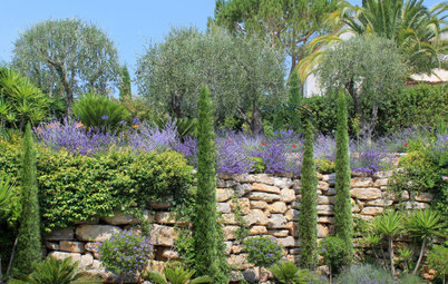 Феномен: Средиземноморские сады во французском стиле
