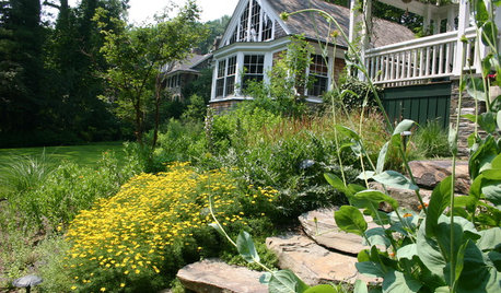 5 Ways to Keep Your Native Plant Garden Looking Good All Year