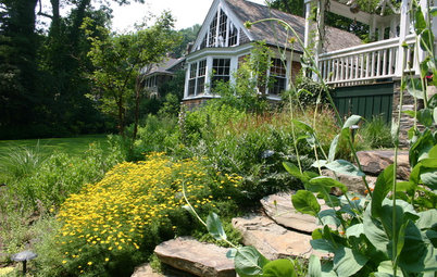 5 Ways to Keep Your Native Plant Garden Looking Good All Year