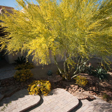 Arid Entryway in Tucson