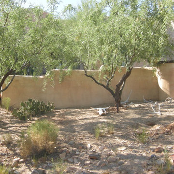 Arid Entryway in Tucson