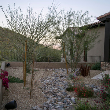 Arizona Property Landscape