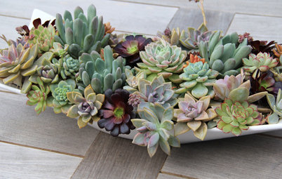 10 Ways to Make Magic With Succulent Centerpieces