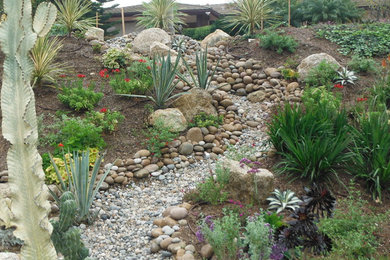 This is an example of a rustic landscaping in San Diego.