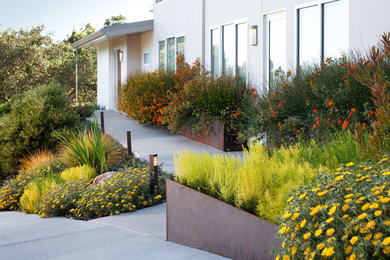 Photo of a mid-sized contemporary drought-tolerant and full sun front yard concrete paver garden path in San Francisco.