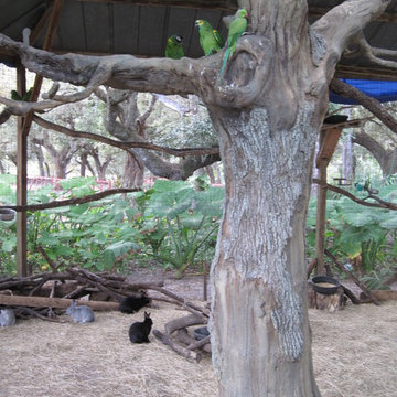 Artifical Dead Oak Trees in Private Bird Aviary