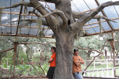 Artifical Dead Oak Trees in Private Bird Aviary