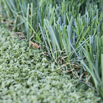 Artificial Grass Close Up