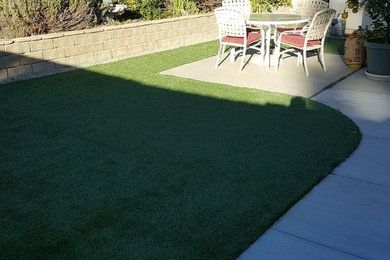 Design ideas for a medium sized back xeriscape partial sun garden in Los Angeles with a garden path.