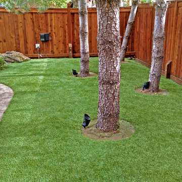 Artificial Grass Installed Around Trees in Arvada