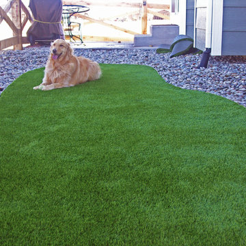 Artificial Turf for a Dog in Lakewood