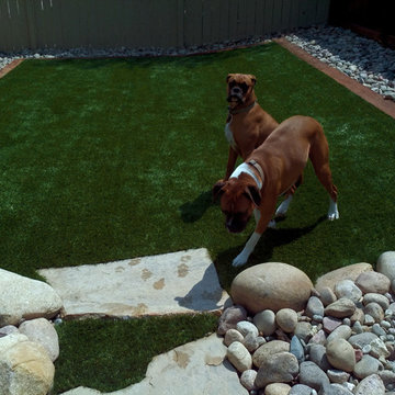Artificial Turf for Dogs in Broomfield