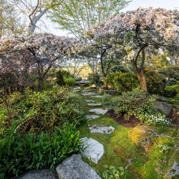 Asian Garden Pruning and Planting