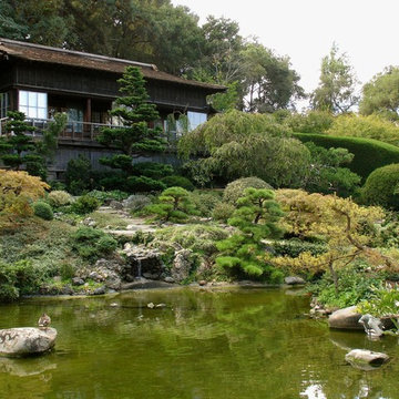 Asian influenced gardens