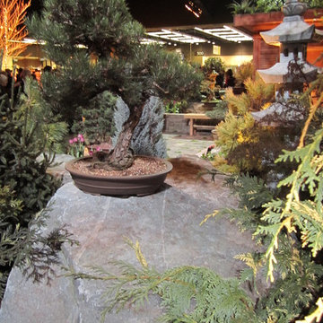 Asian Meditation Garden and outdoor room