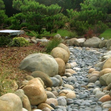 Asian Sanctuary