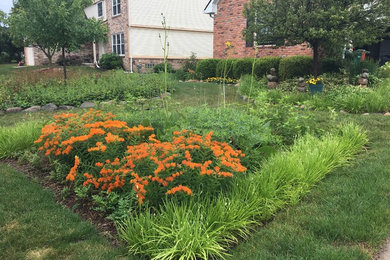 This is an example of a drought-tolerant and full sun front yard landscaping in Detroit.