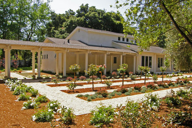 Imagen de camino de jardín actual de tamaño medio en patio trasero con jardín francés, exposición total al sol y gravilla