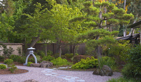 So Your Garden Style Is: Japanese