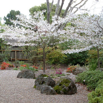 Atherton Japanese Garden