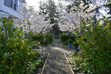 Foto di un grande giardino formale tradizionale esposto in pieno sole dietro casa in primavera con un ingresso o sentiero e ghiaia