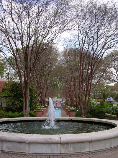 Landscape Atlanta Botanical Gardens