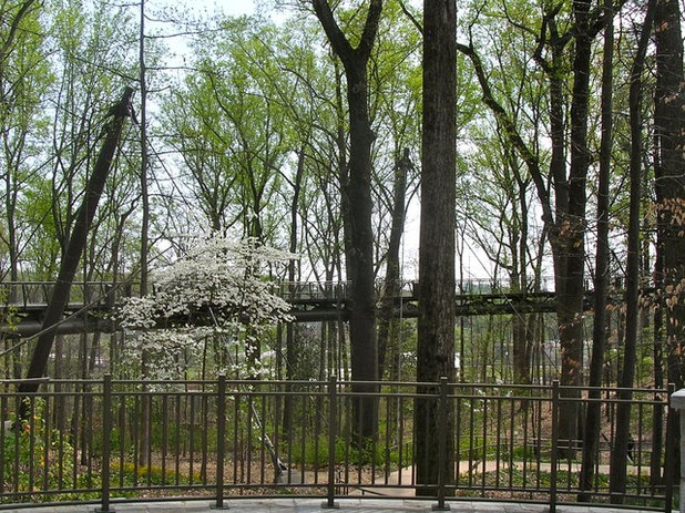 Landscape Atlanta Botanical Gardens Spring 2012