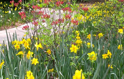Spring Fling: Visit a Garden in Full Glory