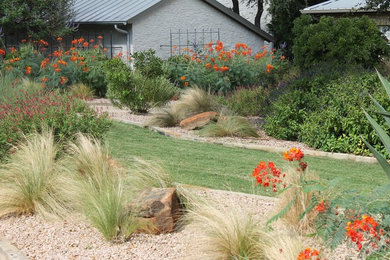 Photo of a southwestern landscaping in Austin.