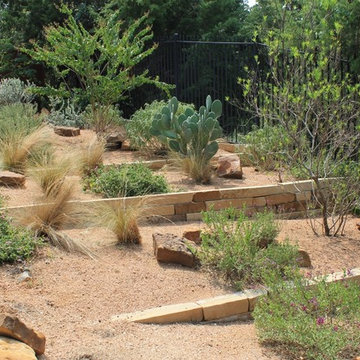 Austin Native Landscaping - Portfolio - Terraced Texas Native Plants Landscaping