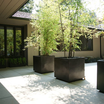 Austin Residence