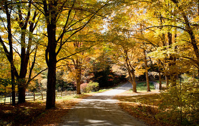 Houzz Call: Show Us Your Autumn Views