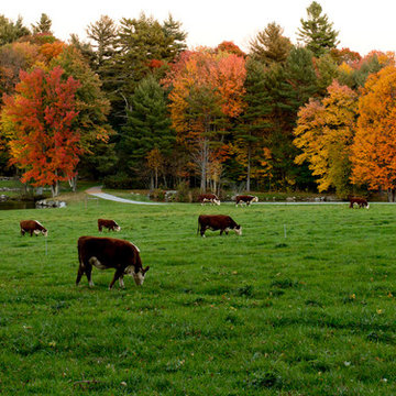 Autumn Decor & New England Road Trip