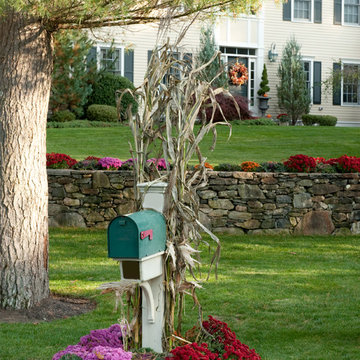 Autumn/Halloween Decor