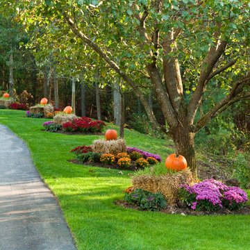 Autumn/Halloween Decor