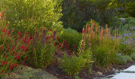Pep Up the Garden With Shades of Red