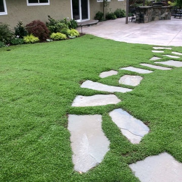 Award Winning Orinda Backyard