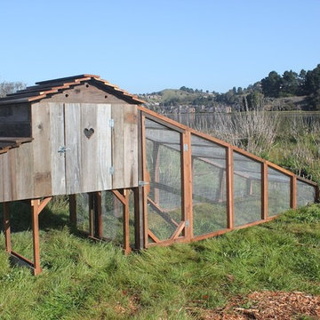 Awesome Chicken Coops