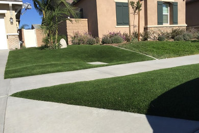 This is an example of a mid-sized full sun front yard landscaping in Los Angeles.