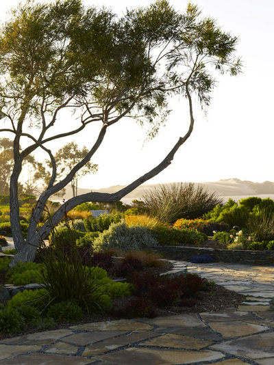 Beach Style Landscape by Jeffrey Gordon Smith Landscape Architecture