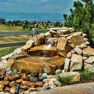 Back Country - Highlands Ranch - Swim Spa