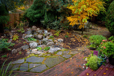 Свежая идея для дизайна: маленький осенний регулярный сад на заднем дворе в восточном стиле с водопадом и полуденной тенью для на участке и в саду - отличное фото интерьера